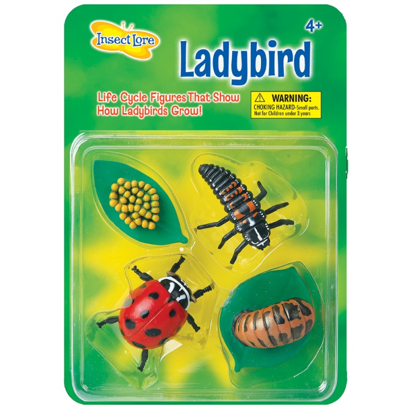 INSECT LORE - Butterfly Life Cycle Stages Figurines, 4 Per Set, 2 Sets